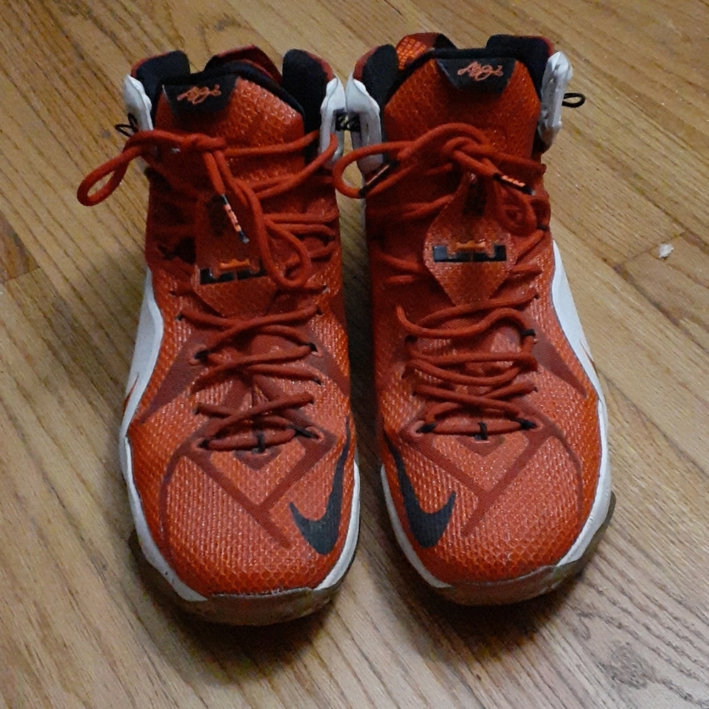 Nike Lebron James Heart of a Lion Sneakers Size 13